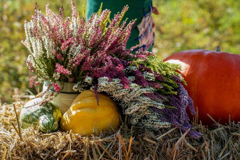 Colorful fall harvest display with pumpkins and flowers on a straw bale outdoors.